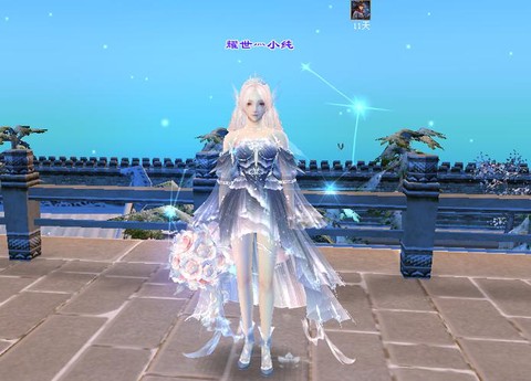 天龙八部什么点缀好看