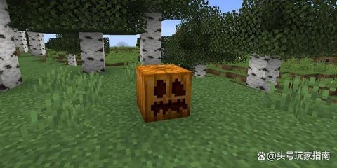 我的世界南瓜怎么种