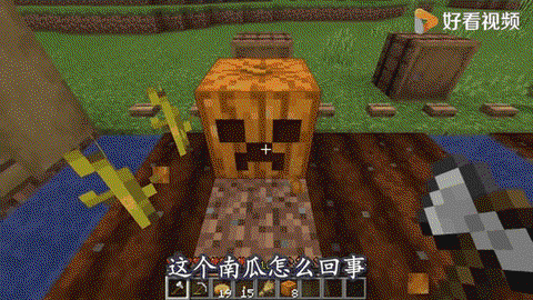 我的世界南瓜怎么种[图1]