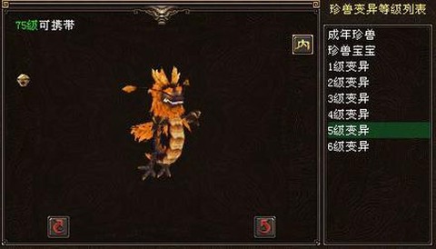 天龙八部75带什么宝宝[图1]