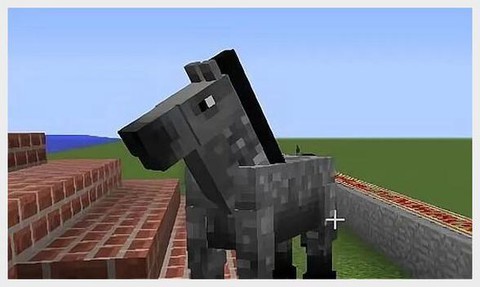 我的世界马喜欢吃什么