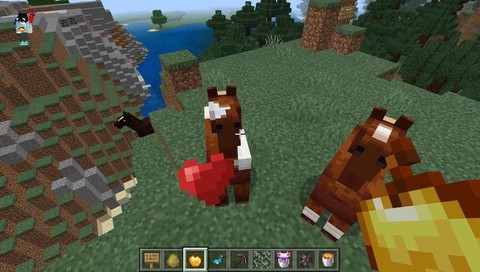 我的世界马喜欢吃什么[图1]