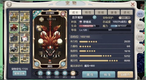 魔力宝贝什么宠物好用[图2]