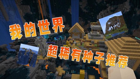 我的世界有什么种子