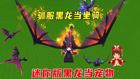 迷你世界黑龙怎么驯服[图1]