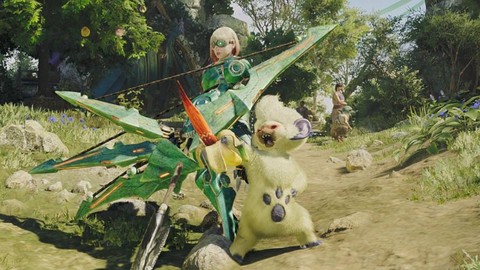 怪物猎人弓箭带什么猫[图2]