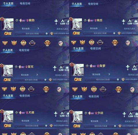 王者荣耀正版id什么意思[图1]