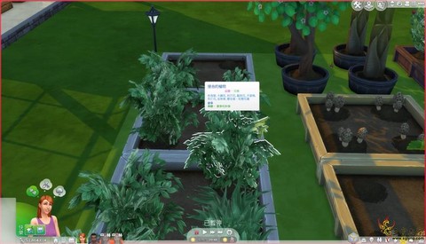 模拟人生4怎么种植[图1]