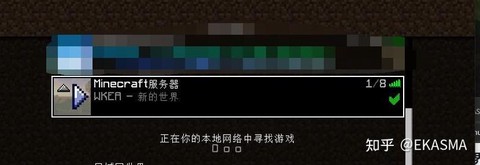 我的世界局域网是什么