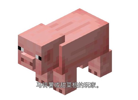 我的世界猪怎么繁殖[图1]